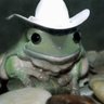 Frog Music's profile picture