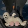 Profilbild von Dan