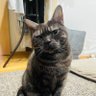 Фото профиля Rie