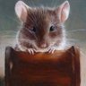 Profilbild von Mr Jingles