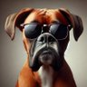 Фото профиля Red Dog