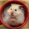 Ольга Ба.'s profile picture