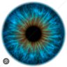 Solantrepreneur's profile picture