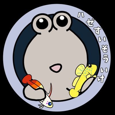 いけさんのトビハゼ's profile picture