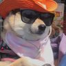 HD's profile picture