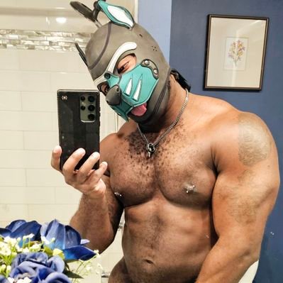 PupNamedTank's profile picture