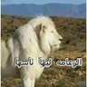 Фото профиля ابو قلب كبير لا يعرف الغدر