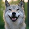 Profilbild von Wolf Brother