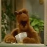 Alf 的头像