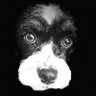 rettanatore's profile picture