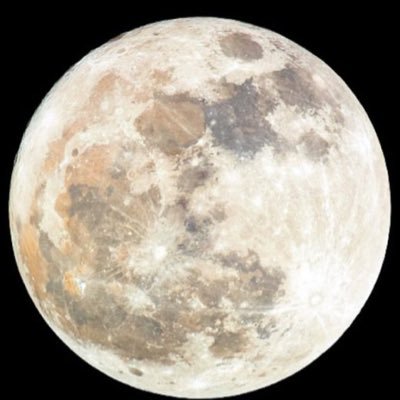 su_dxs's profile picture