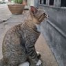 Фото профиля 《แข่วหมา》
