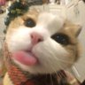 it's.me.ayra's profile picture