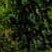 blabla_2025's profile picture