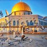 يا نفسُ إن لم تصبِري فتصبّري profil fotoğrafı