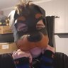 Profilbild von WolfFlames28