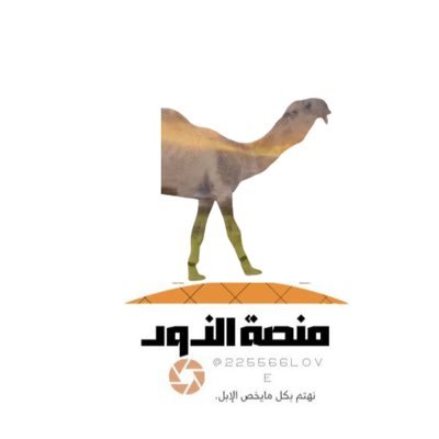 225566Love's profile picture