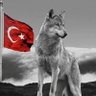 Halil ACUN's profile picture