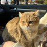 0xsnail profil fotoğrafı