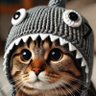 Profilbild von Genius