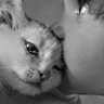 no body's profile picture
