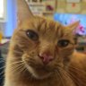Maximus Danby profil fotoğrafı