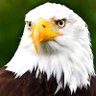 Ahamibwe Danham profil fotoğrafı