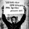 ልሳነ ሰሊፍ's profile picture