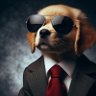 Doguinho Do Link's profile picture