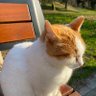 Profilbild von Biricik