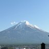 ハクト 的头像