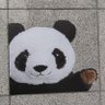 うーちゃん profil fotoğrafı