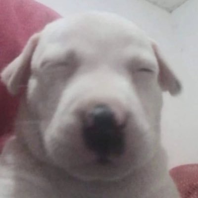 승.사.'s profile picture