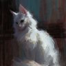 兰兰's profile picture