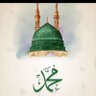Gesmlla Asawer's profile picture