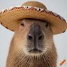 Capibara Enojado's profile picture