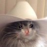 Jacobo🤠 的头像