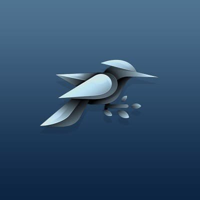 rastINFO's profile picture