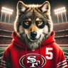 TheNinersWolf 的头像