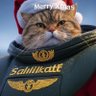 Salikatt 的头像