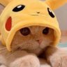 DavidGoDik 的头像