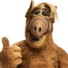 Alf74100 profil fotoğrafı