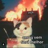 Profilbild von Marcela Silva