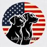 Фото профиля Labs of Liberty™
