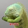 母まる profil fotoğrafı