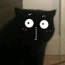 Profilbild von Ember
