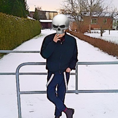 Fenrir 🇸🇪's profile picture