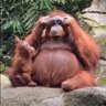 Profilbild von snipps