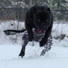 Profilbild von Farmercist_xyz of Krypto