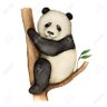 Crite's profile picture
